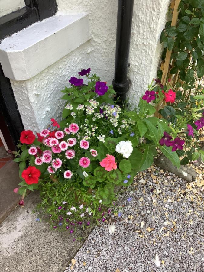 Cruachan House New Galloway エクステリア 写真