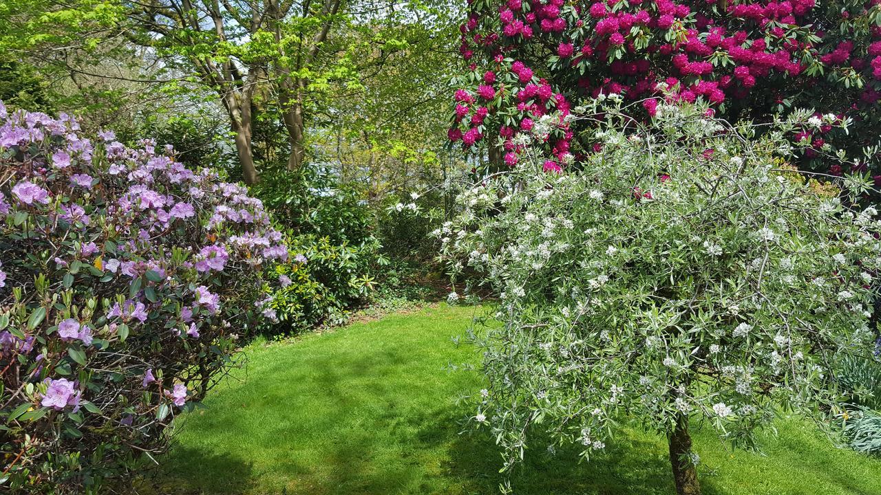 Cruachan House New Galloway エクステリア 写真